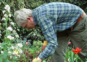 gardening